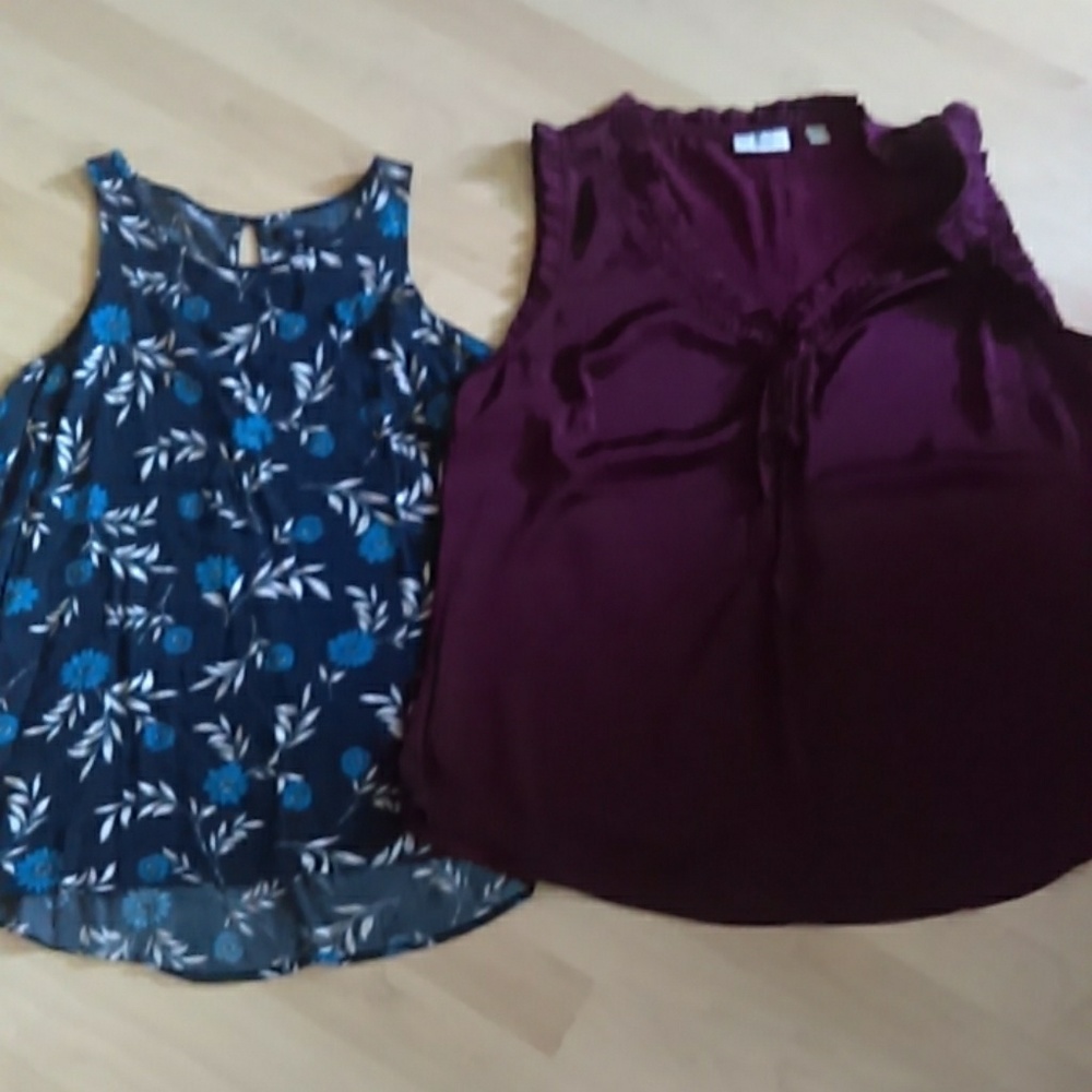 Bundle of 2 blouses